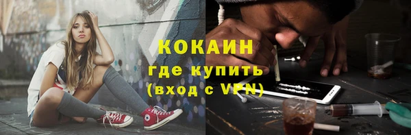 твердый Ельня