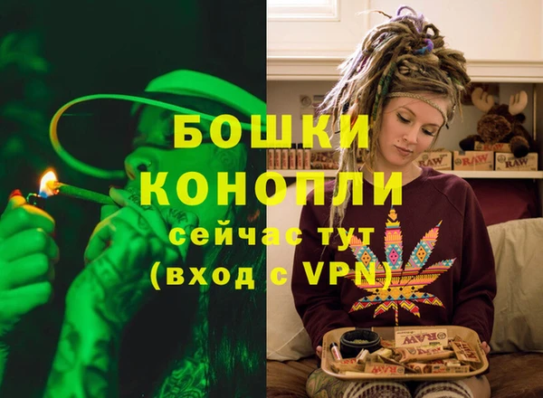 бошки Белокуриха