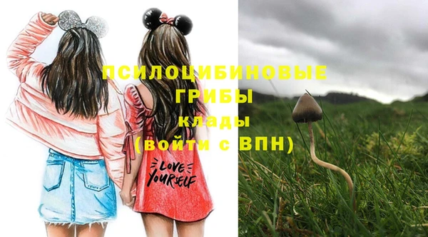 бошки Белокуриха
