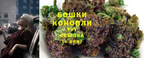 бошки Белокуриха