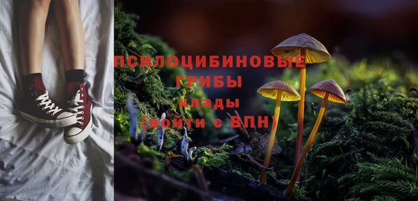 бошки Белокуриха